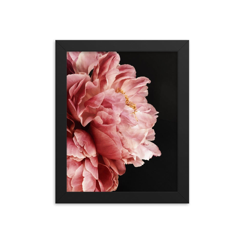 Framed Coral Peony Poster